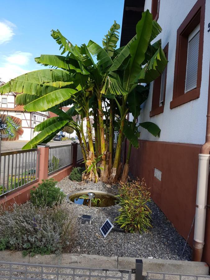 Marielies-Urlaubsstube Apartamento Meißenheim Exterior foto
